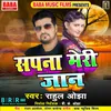 About Sapna Meri Jaan Song