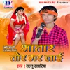 About Bhatar Tor Mar Jai Song