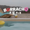 About Borracho - Remix Song