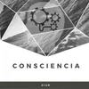 About Consciencia Song