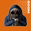 About Boom Song