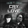 Cry for Love (12 Inch Mix)