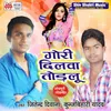 About Gori Dilwa Todlu Song