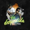 La Despedida Remix