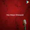 About Hey Maiya Sherawali Song