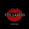 About Tus Labios Song