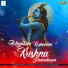 About Achyutam Keshwam Damodaram Song