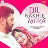 About Dil Rakhle Mera Song