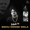 About Sidhu Moosewala Tribute Song Song
