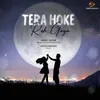About Tera Hoke Reh Gaya Song
