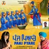 About Panj Pyare Song