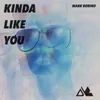 About Kinda Like You Song