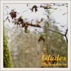 Glades