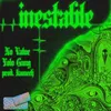 About Inestable Song