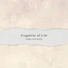 About Fragment of Life Song