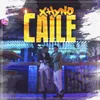 About Caile Song