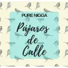 About Pájaros de Calle Song