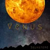 About Venus Song