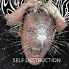 About Self Destruction Song