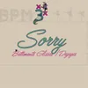 About Sorry (Battements Glissés / Dégagés) Song