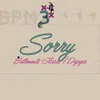 Sorry (Battements Glissés / Dégagés)