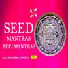 Ham Throat Chakra Seed Mantra (1008 Times in 11 Minutes)