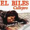 About Callejero Song