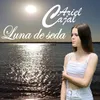 About LUNA DE SEDA Song