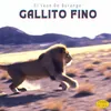 Gallito Fino