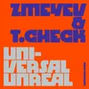 About Universal Unreal Song