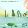 About I'm Looking For You Song