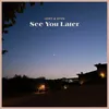 About See You Later Song