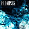 About promises Song