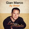 About Ay Amor (Luz María) Song