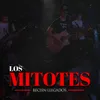 About Los Mitotes Song