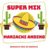 About Super Mix Mariachi Andino Song