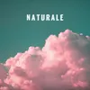 About Naturale Song