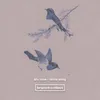 About Birds Song Song