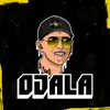 OJALÁ (Remix)