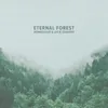 About Eternal Forest Song