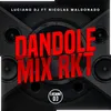 About Dandole Mix Rkt Song