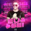About Eu Sei (Remix) Song