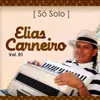 Elias Carneiro - MESTRE DA SANFONA