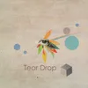 About Tear Drop Song