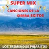 Super Mix Canciones De La Sierra