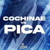 Cochinae VS Pica
