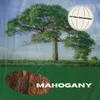 About Mahogany Song