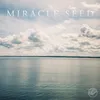 About Miracle Seed Song