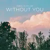 Without You (Acoustic Guitar)