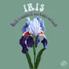 About Iris Song